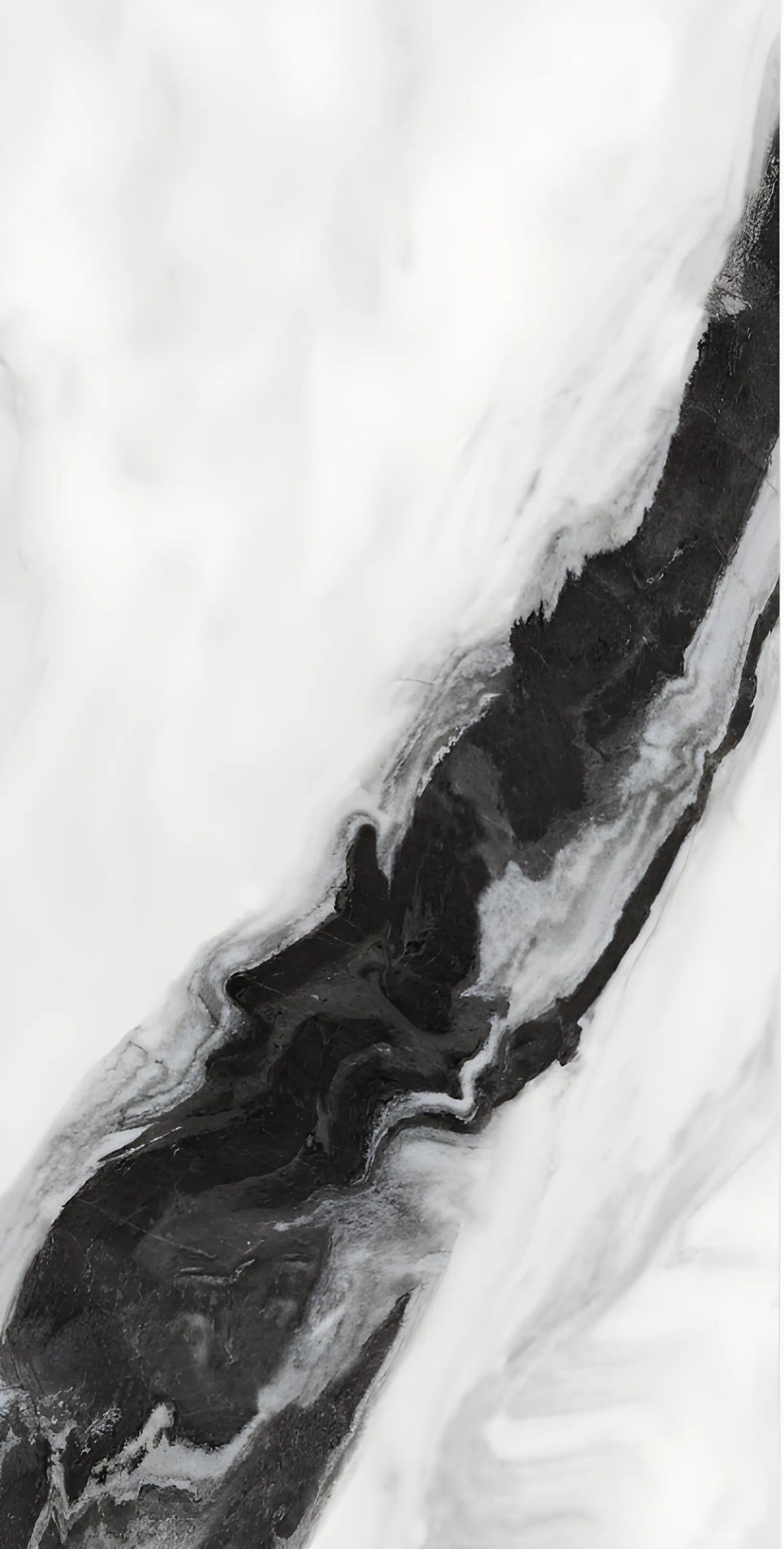 Black Panda Porcelain Glossy Tile - 60 x 120 CM Fin and Furn