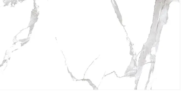 Sapheda Extra 24x24inch/24x48inch Fin and Furn