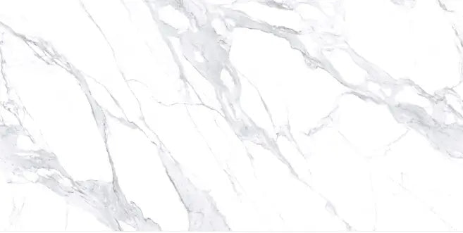 Sapheda Jordan 12x24inch Fin and Furn