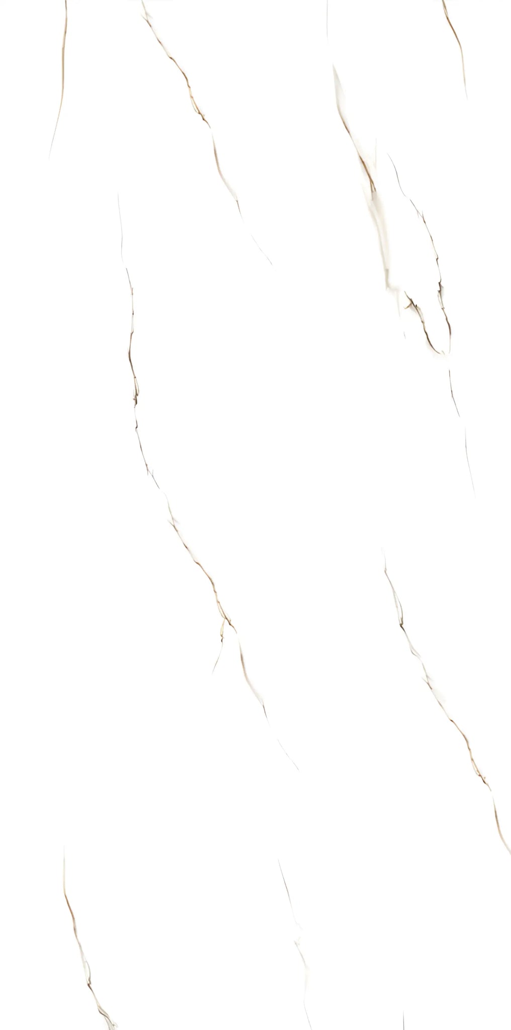 Satuario 24x24inch/24x48inch Fin and Furn