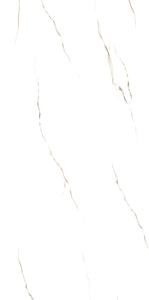 Satuario 24x24inch/24x48inch Fin and Furn