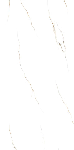 Satuario 24x24inch/24x48inch Fin and Furn