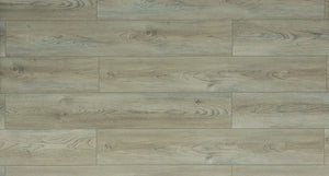 Toucan Laminate Flooring TF62 Series 7.7'' x 48'' (TF6205-F) TOUCAN