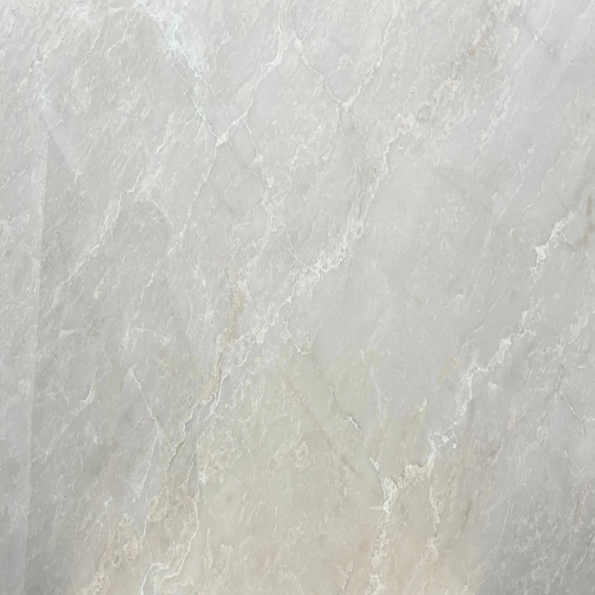 Victoria Grey 24x24 inch Fin and Furn