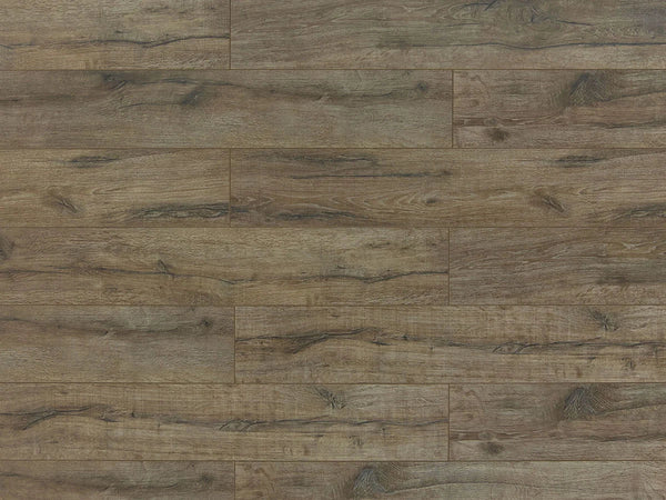 Toucan TF6005-F Ashford laminate flooring — 12.3mm AC4