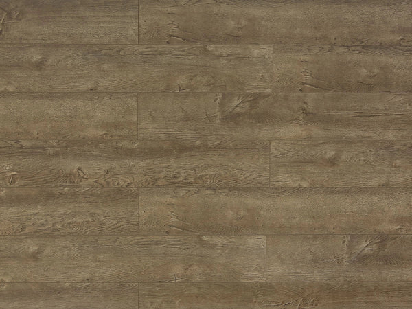 Toucan TF6009-F Barcelona laminate flooring — 12.3mm AC4