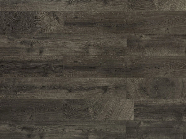 Toucan TF6101-F Dark Knight laminate flooring — 12.3mm AC4