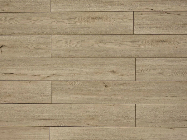 Toucan TF6202-F Nordic Pale laminate flooring — 12.3mm AC4