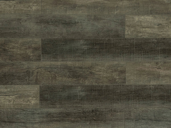 Toucan TF6211-F Wilderness laminate flooring — 12.3mm AC4