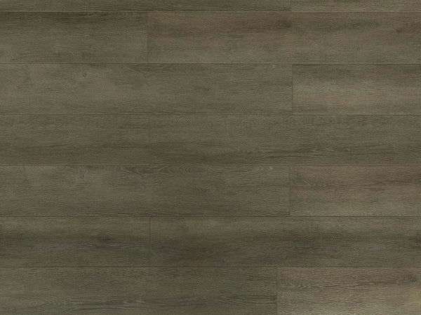 Toucan TF6305-F Black Forest laminate flooring — 12.3mm AC4