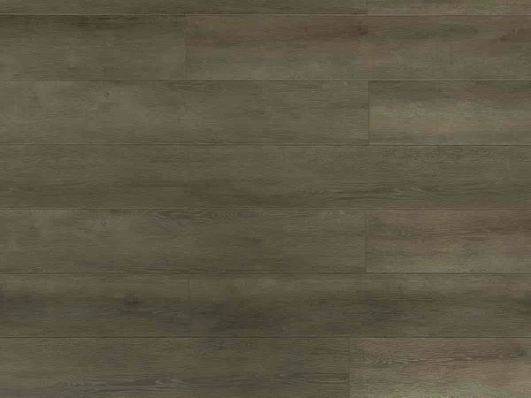 Toucan TF6305-F Black Forest laminate flooring — 12.3mm AC4